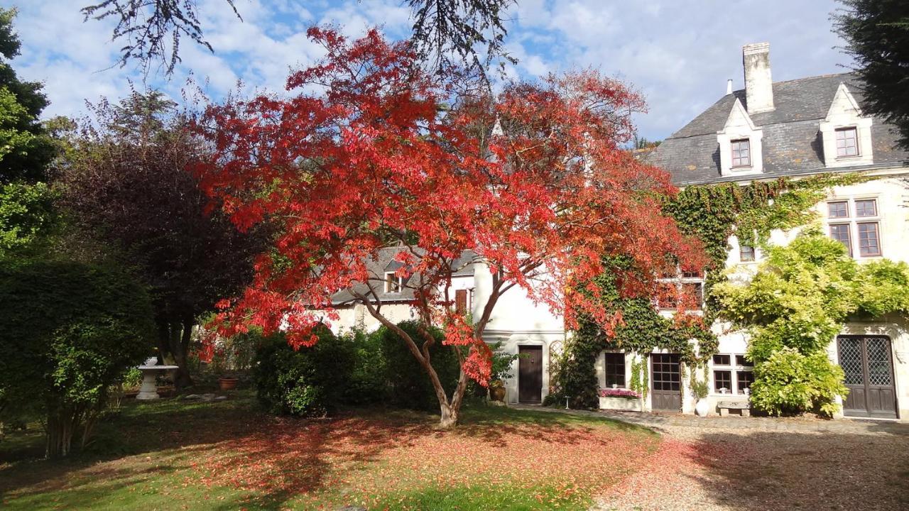 مبيت وإفطار Gennes-Val-de-Loire Le Manoir De La Baldette المظهر الخارجي الصورة